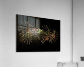 MIS 01037 Acrylic Print