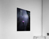 MIS 01016 Acrylic Print