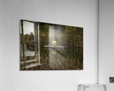 MIS 00995 Acrylic Print