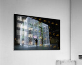 MIS 01000 Acrylic Print