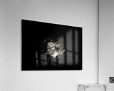 MIS 01046 Acrylic Print