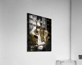 MIS 01009 Acrylic Print
