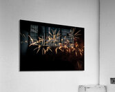 MIS 01036 Acrylic Print