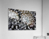 MIS 00987 Acrylic Print