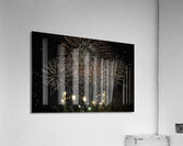 MIS 01039 Acrylic Print