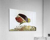 MIS 01020 Acrylic Print