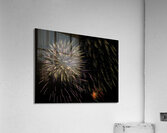 MIS 01027 Acrylic Print