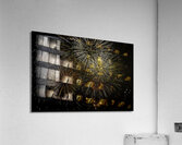 *MIS 01040 Acrylic Print