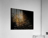 MIS 01029 Acrylic Print