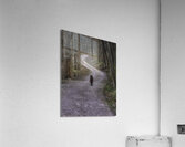 MIS 01109 Acrylic Print