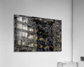 MIS 01064 Acrylic Print