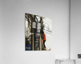 MIS 01099 Acrylic Print