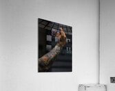 MIS 01106 Acrylic Print