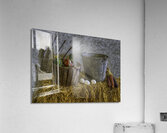 MIS 01071 Acrylic Print