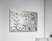 MIS 01088 Acrylic Print