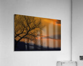 MIS 01068 Acrylic Print