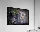 MIS 01110 Acrylic Print