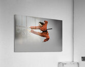 MIS 01076 Acrylic Print
