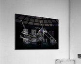 MIS 01065 Acrylic Print