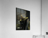 MIS 01081 Acrylic Print