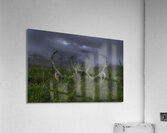 MIS 01161 Acrylic Print