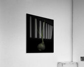 MIS 01165 Acrylic Print