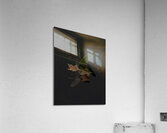 MIS 01163 Acrylic Print