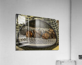 MIS 01164 Acrylic Print