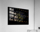 MIS 01137 Acrylic Print