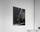 MIS 01138 Acrylic Print