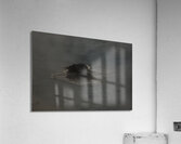 MIS 01130 Acrylic Print
