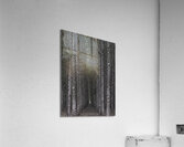 MIS 01134 Acrylic Print