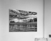 MIS 01139 Acrylic Print
