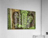 MIS 01147 Acrylic Print