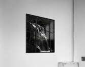 MIS 01140 Acrylic Print