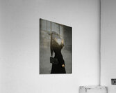MIS 01133 Acrylic Print