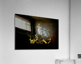 MIS 01132 Acrylic Print