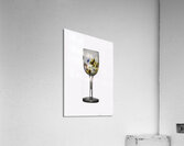 MIS 01197 Acrylic Print
