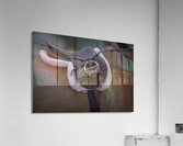 MIS 01204 Acrylic Print