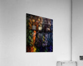 MIS 01200 Acrylic Print