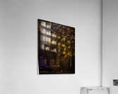 MIS 01209 Acrylic Print