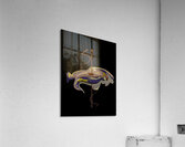 MIS 01211 Acrylic Print