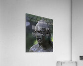 PEO 01238 Acrylic Print