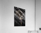 PEO 01269 Acrylic Print