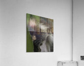 PEO 01239 Acrylic Print