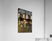 PEO 01314 Acrylic Print