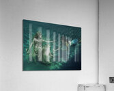 PEO 01288 Acrylic Print