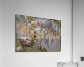 PEO 01312 Acrylic Print