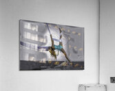 ACT 01437 Acrylic Print