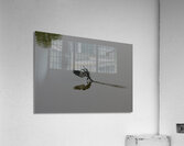 ACT 01469 Acrylic Print